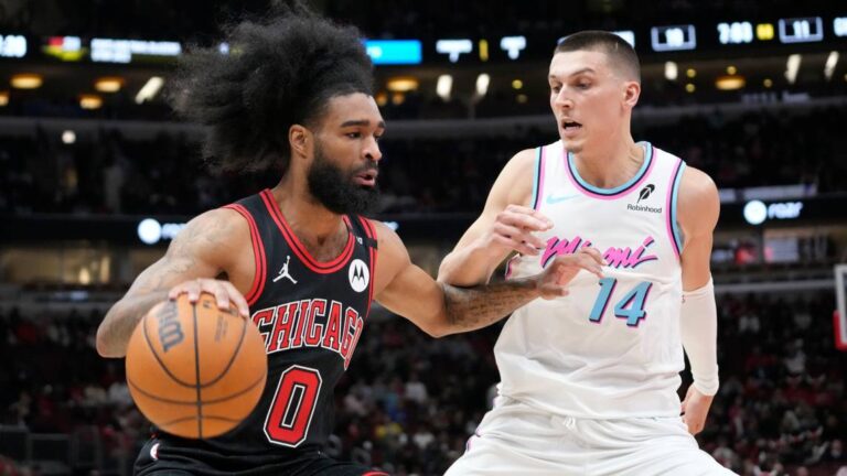 Heat Bulls