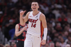 Heat Bulls