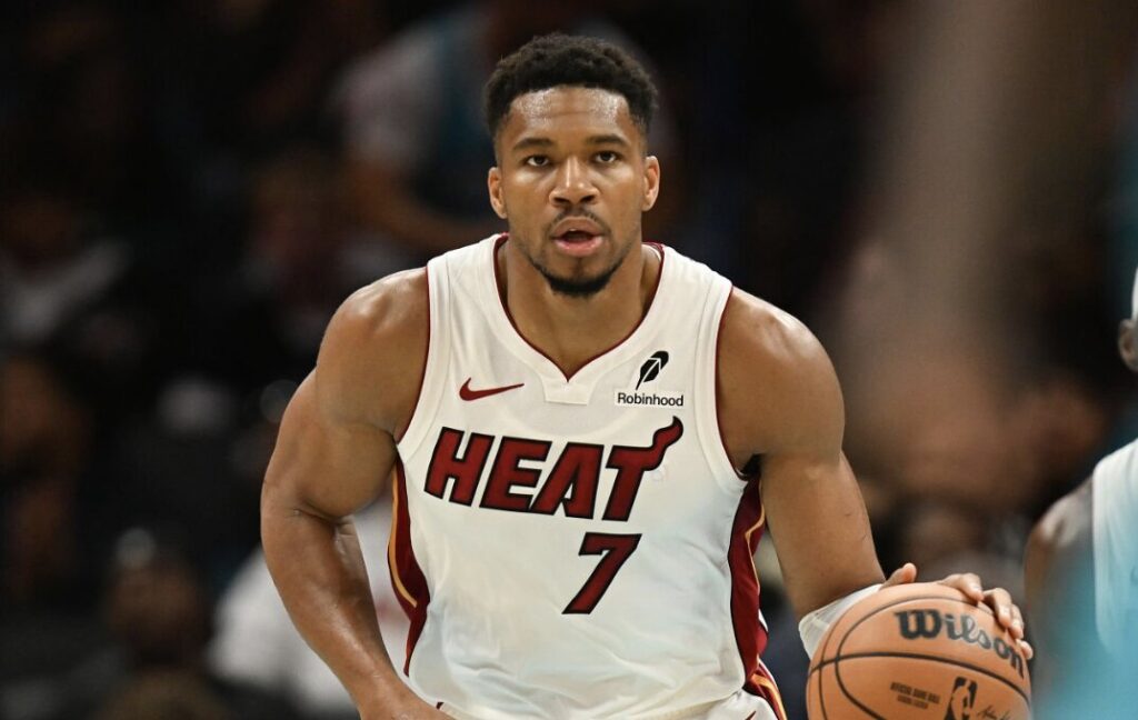 Heat Hornets